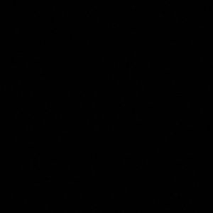 Meet your Posher, Princess